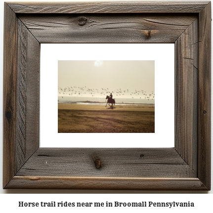 horse trail rides near me in Broomall, Pennsylvania